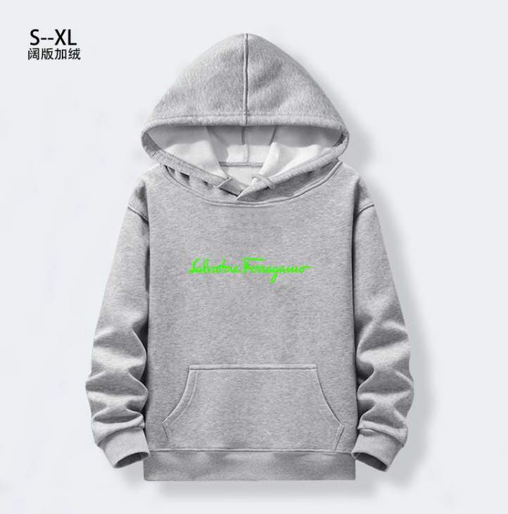 Picture of Ferragamo Hoodies _SKUFerragamoS-XL1qx033097